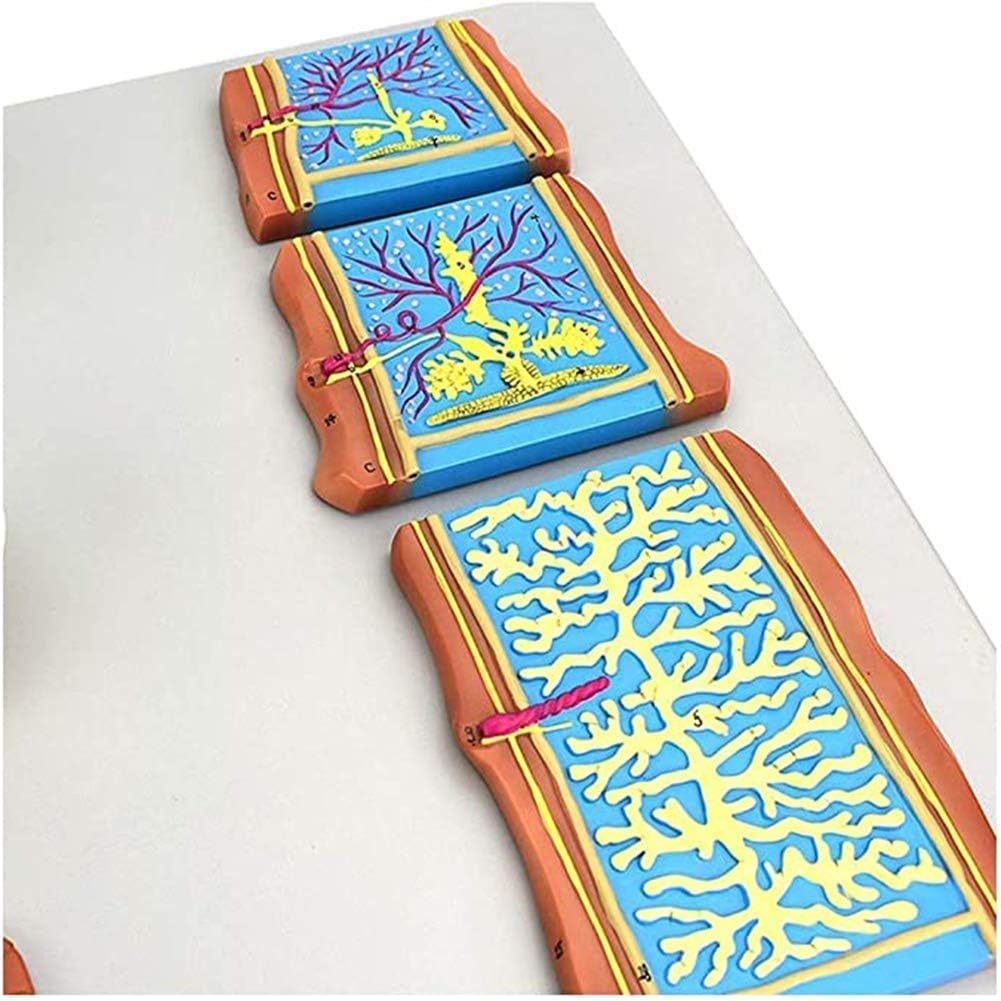 SUZUKI RF400RV 赤 格安提供車 要整備ベース車 クランキング確認済み